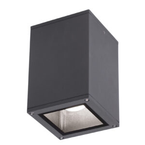 GES1010 Plafone - MAX 1X20W