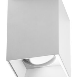 GFA1230 Faretto a plafone orientabile con ottica arretrata - MAX 1X50W